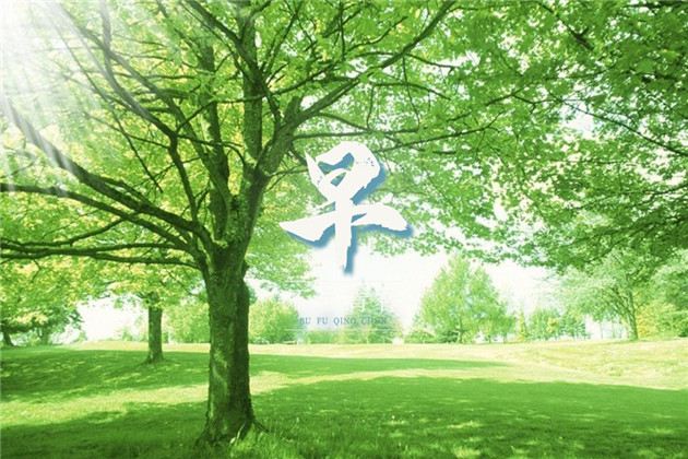 早安语录图片和句子