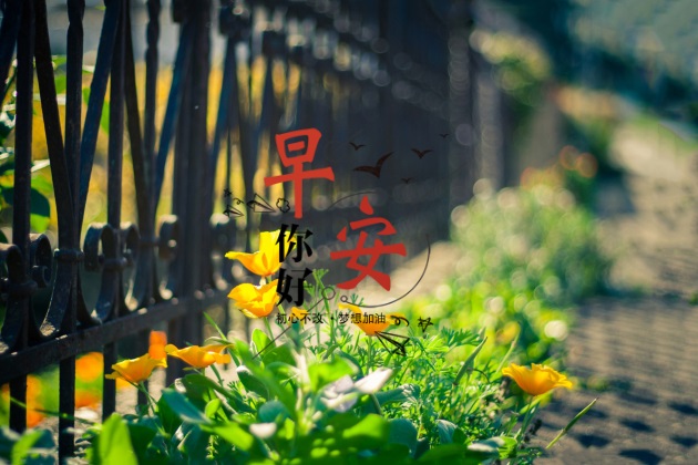 早安图片