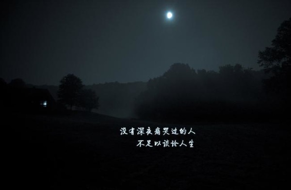 团队精神正能量的句子 简短有气势的口号