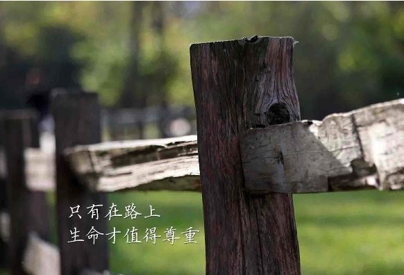 干净简短的励志句子 拼搏努力的励志句子