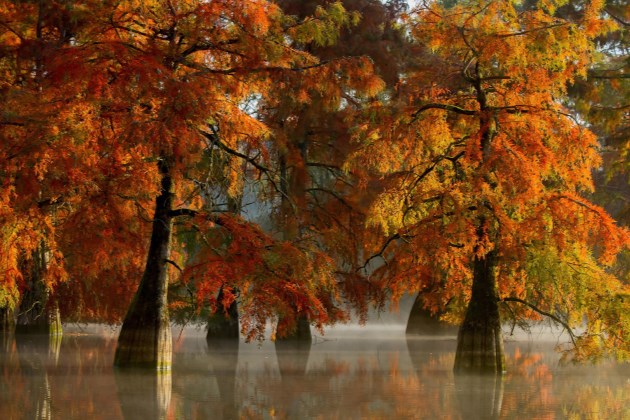 早安正能量短句2019