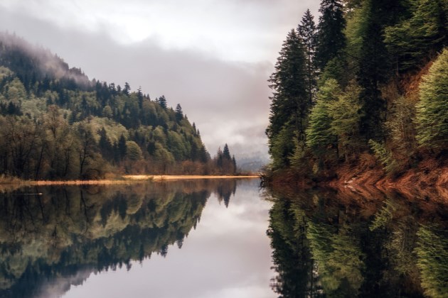 2019早安正能量语录