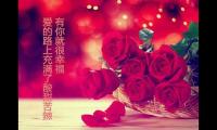 关于爱情语录经典短句