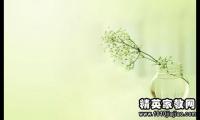 关于优美散文语句大全