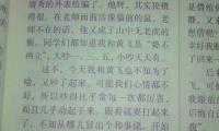 关于暑假记事作文600字大全