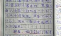 关于2021浙江台州中考满分作文：我在成长大全