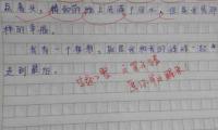 关于雷死人的小学生作文(一篇作文气死99个老师)大全
