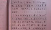 关于暑假的作文大全