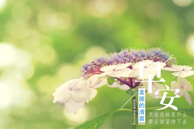 [早安图片]适合发朋友圈的句子