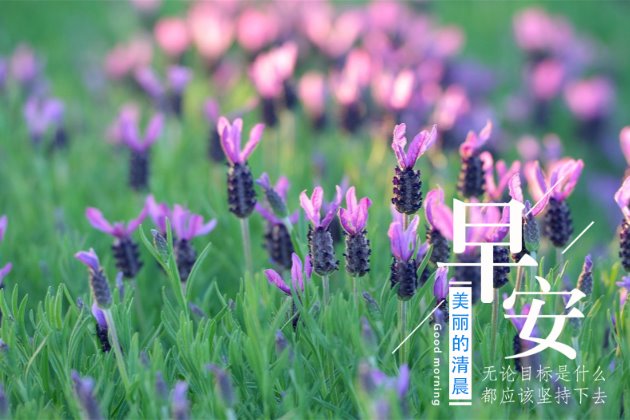 [早安图片]适合发朋友圈的句子