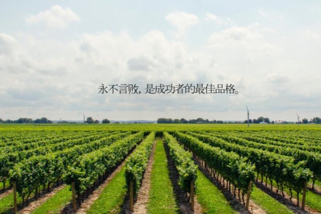 早安图片,早安心语图片