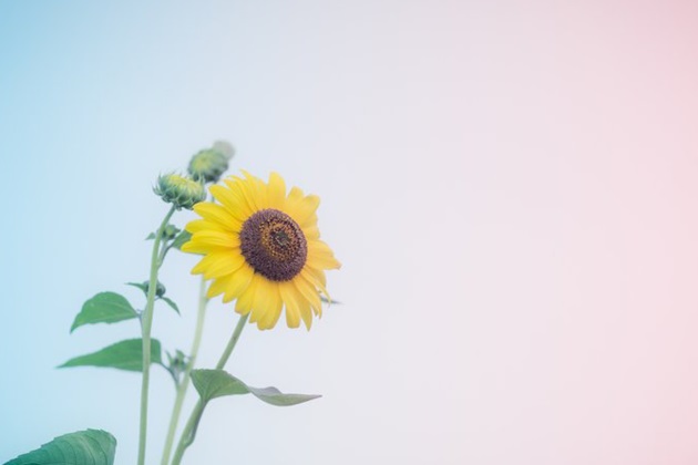 晚安语录发朋友圈的励志短句