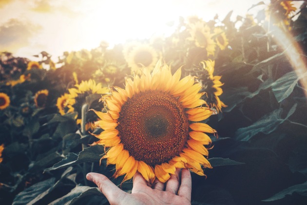 晚安语录发朋友圈的励志短句