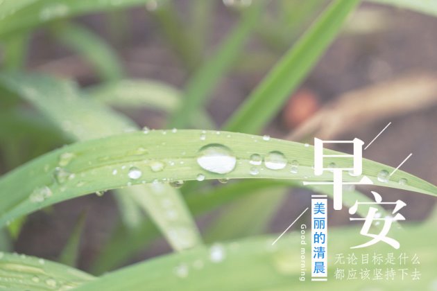 [早安图片]适合发朋友圈的句子