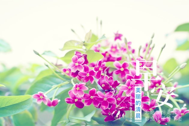 [早安图片]适合发朋友圈的句子