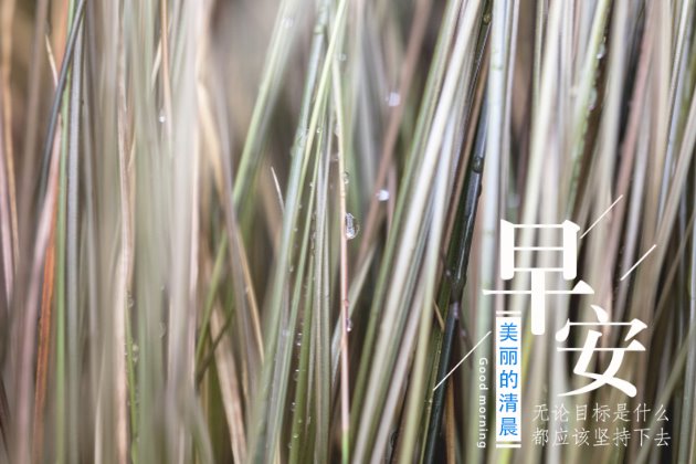 [早安图片]适合发朋友圈的句子