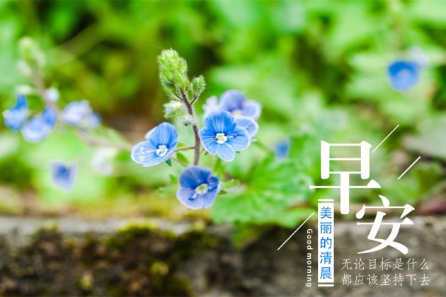 [早安图片]适合发朋友圈的句子