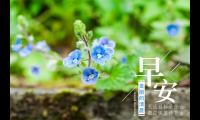 [早安图片]适合发朋友圈的句子