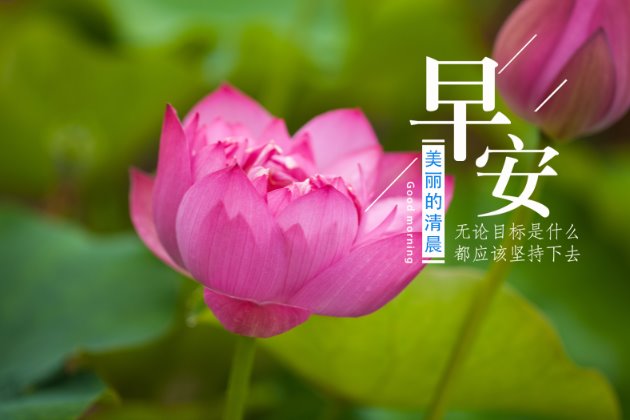 早上好图片：早安心语正能量一句话