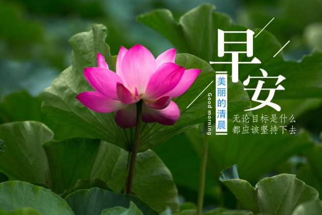 早上好图片：早安心语正能量一句话