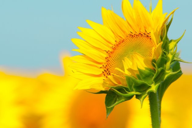 早安说说正能量简短一句话