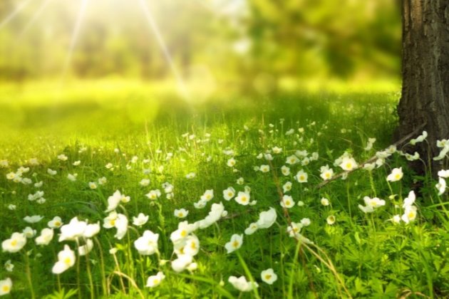 早安微语正能量一句话