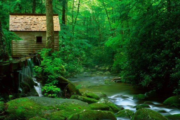 早安微语正能量一句话