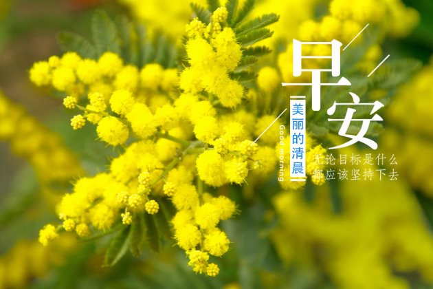 [早安心语图片]早安正能量的句子
