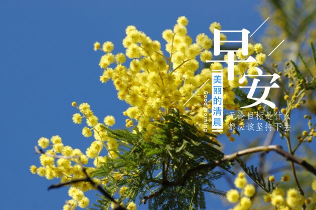[早安心语图片]早安正能量的句子