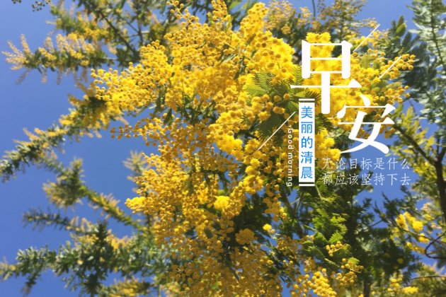 [早安心语图片]早安正能量的句子