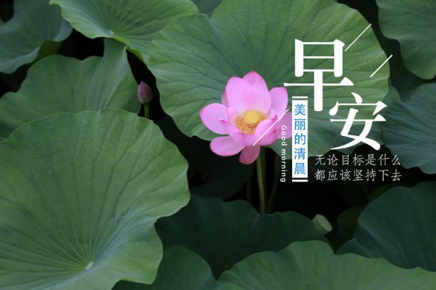 早上好图片：早安心语正能量一句话