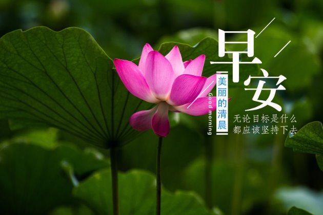 早上好图片：早安心语正能量一句话