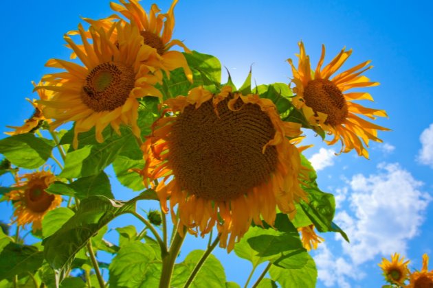 早安说说正能量简短一句话