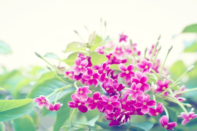 [每日清晨微语图片]朋友圈微博清晨微语正能量