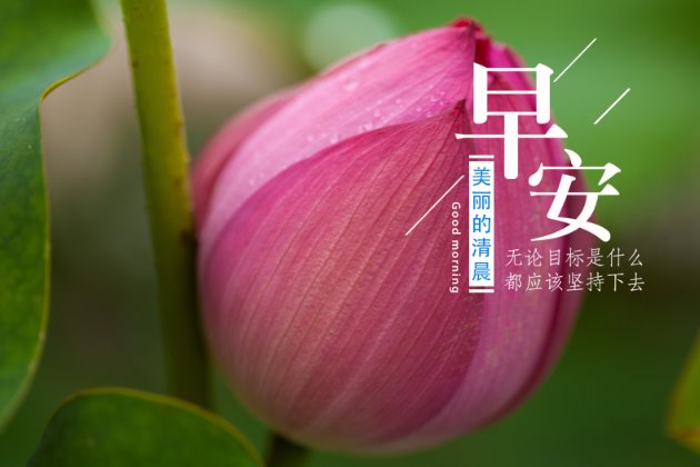 早上好图片：早安心语正能量一句话