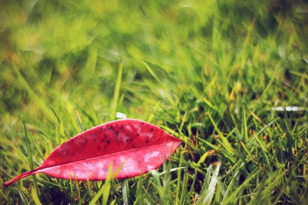 清晨心语一句话经典语录