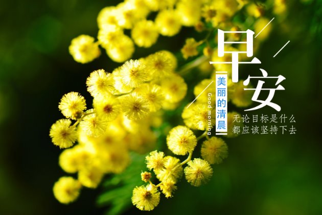[早安心语图片]早安正能量的句子
