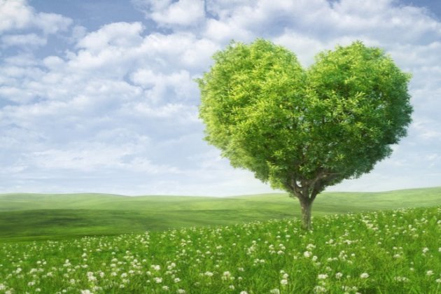 早安微语正能量一句话