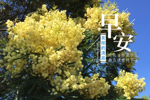 [早安心语图片]早安正能量的句子