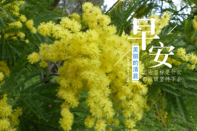 [早安心语图片]早安正能量的句子