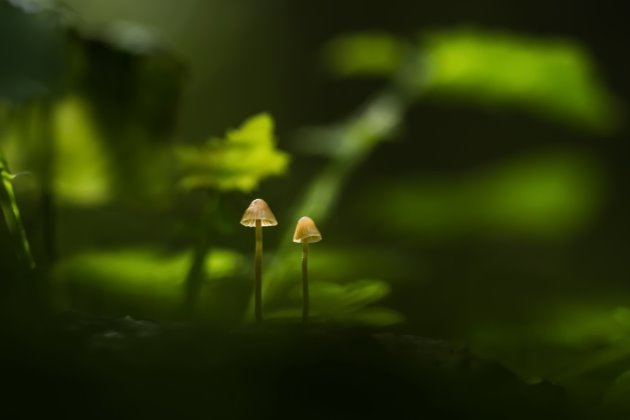 清晨心语激励正能量句子
