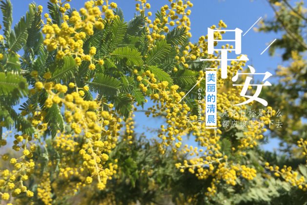 [早安心语图片]早安正能量的句子