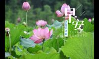 早上好图片：早安心语正能量一句话