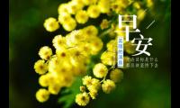 [早安心语图片]早安正能量的句子