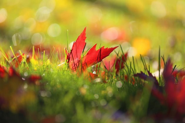 正能量的早安语录短句