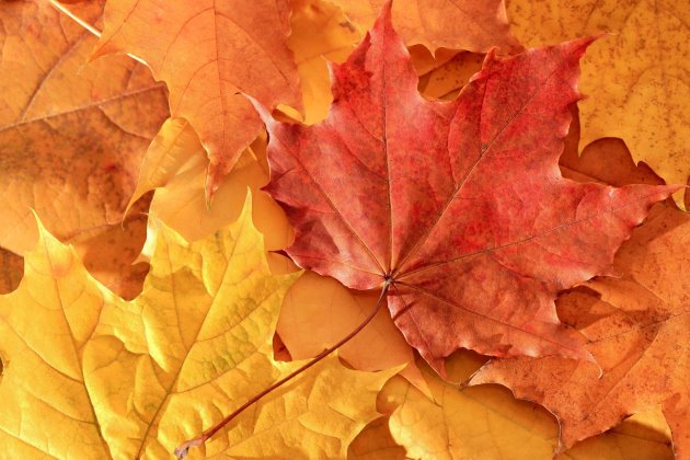 早安说说简短正能量语录