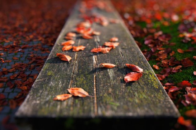 简短的早安说说心情短语