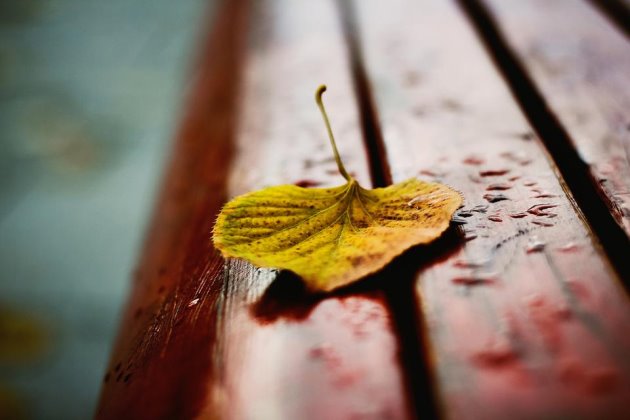 早安心语简单一句话2019