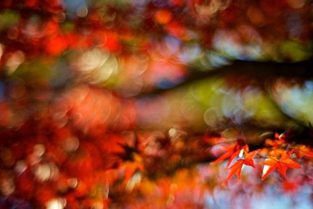 正能量的早安语录短句