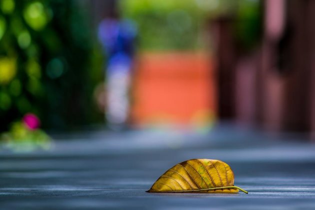 简短的早安说说心情短语